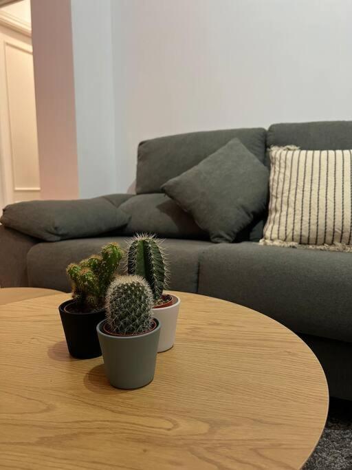 Top Duplex Centro "La Plazuela" 헤레스 외부 사진
